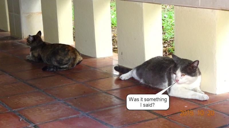 post-35489-0-48822800-1445354167_thumb.j