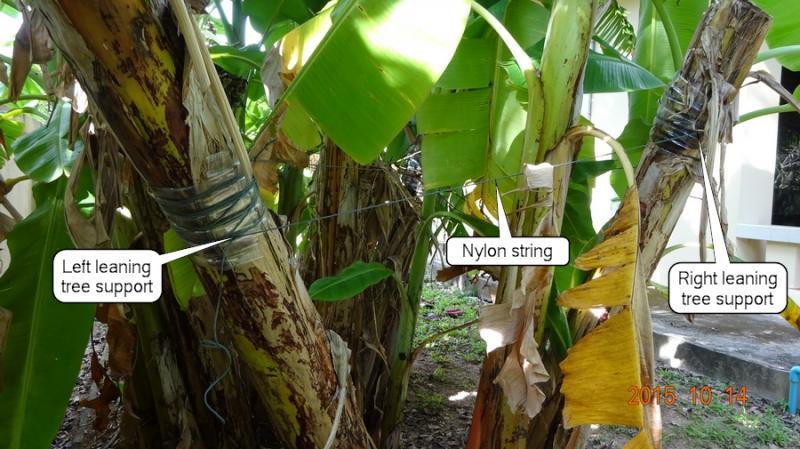 post-35489-0-49251700-1444818163_thumb.j