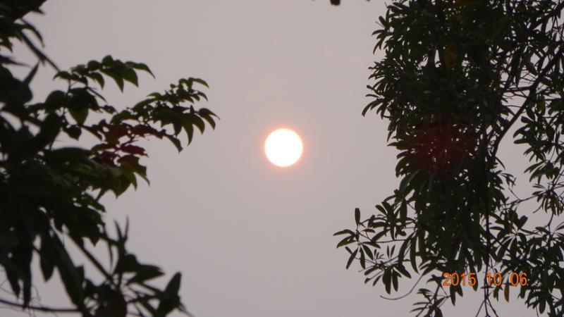 post-35489-0-61143800-1444239904_thumb.j