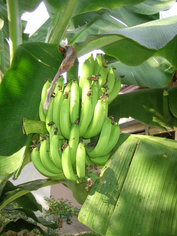 post-35489-0-74006500-1444739294_thumb.j