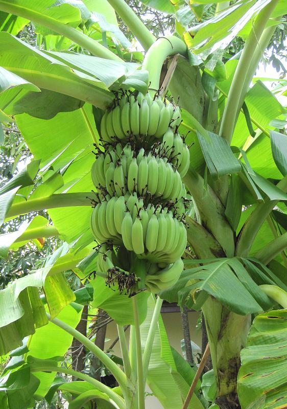 post-35489-0-78937900-1444753627_thumb.j