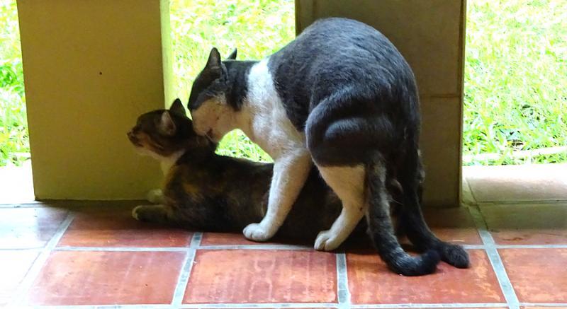 post-35489-0-88369100-1445688570_thumb.j