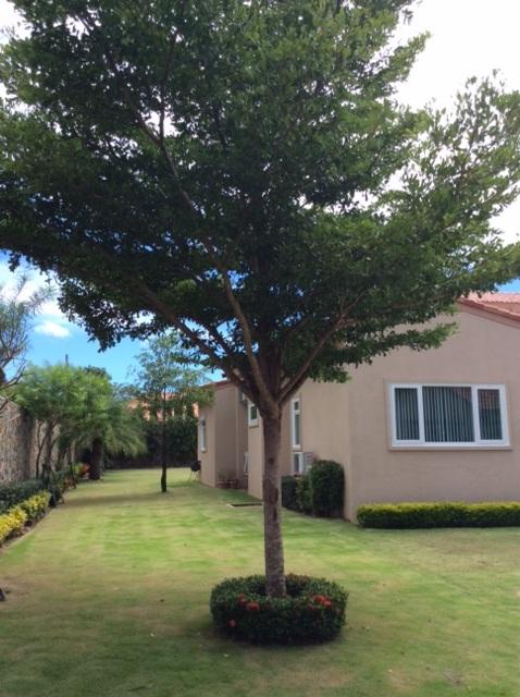 post-39406-0-07259800-1445752090_thumb.j