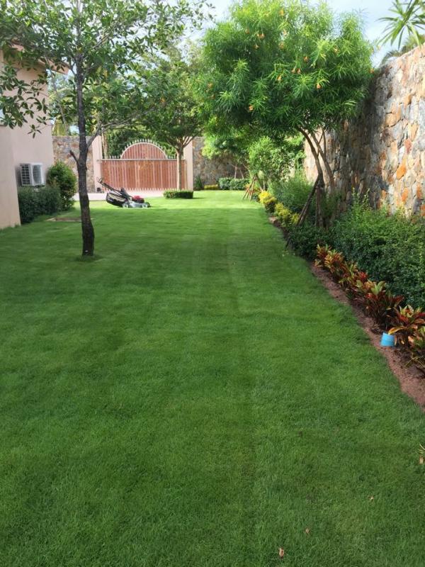 post-39406-0-84154000-1445752003_thumb.j