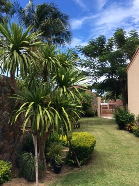 post-39406-0-94662600-1445752063_thumb.j