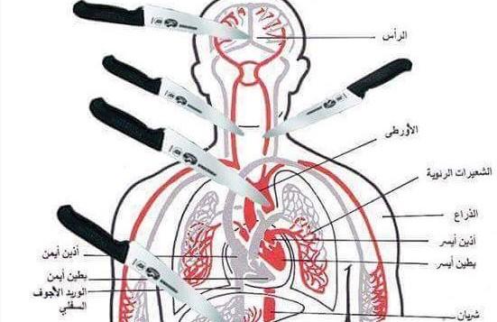 post-46165-0-93288000-1445348532_thumb.j