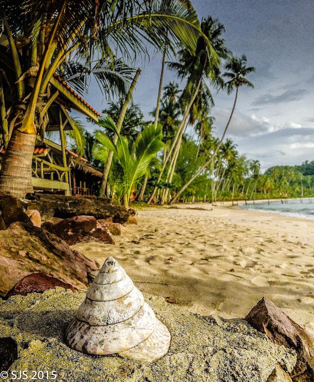 post-52121-0-10561500-1444098430_thumb.j