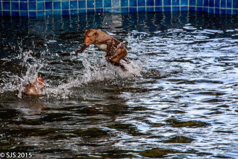 post-52121-0-68407900-1444061418_thumb.j