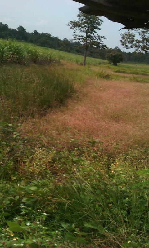 post-80031-0-65756800-1445666941_thumb.j