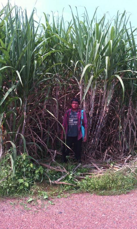 post-80031-0-71975000-1445666523_thumb.j