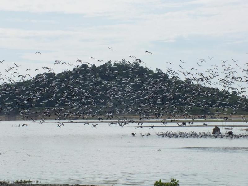 post-91156-0-02527200-1445092591_thumb.j