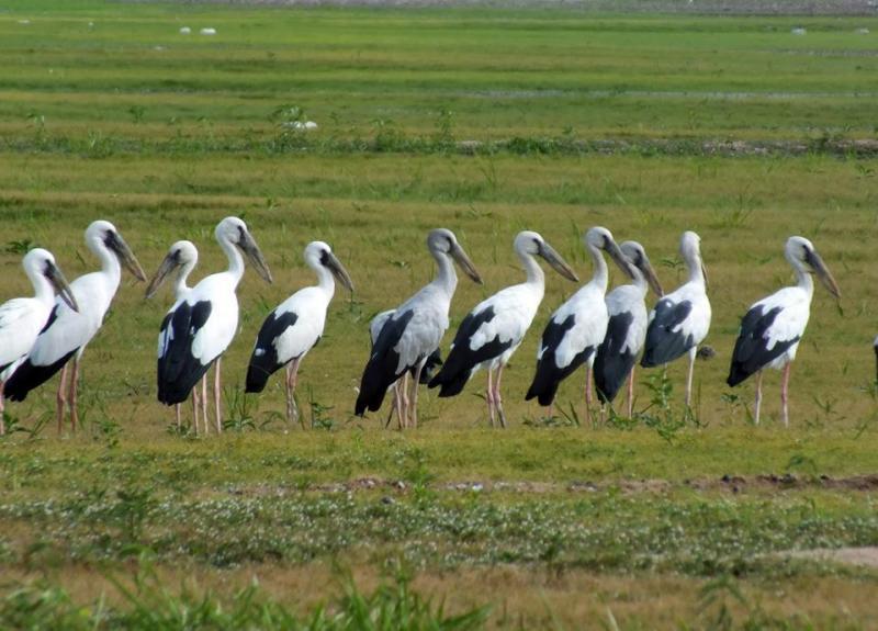 post-91156-0-71365900-1445092828_thumb.j