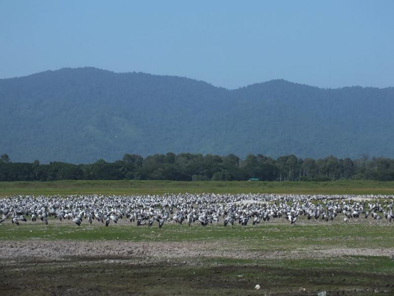 post-91156-0-87627500-1445092535_thumb.j