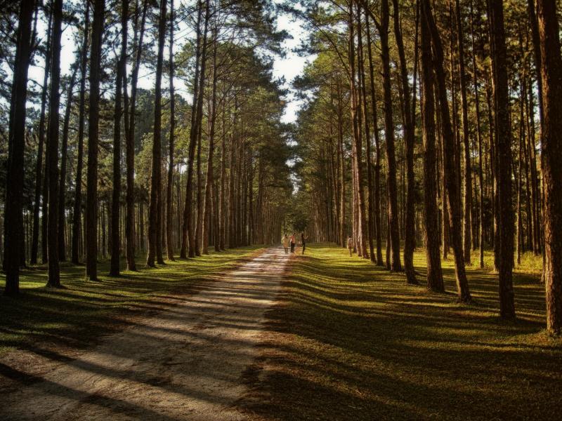 post-93078-0-00322400-1445840405_thumb.j