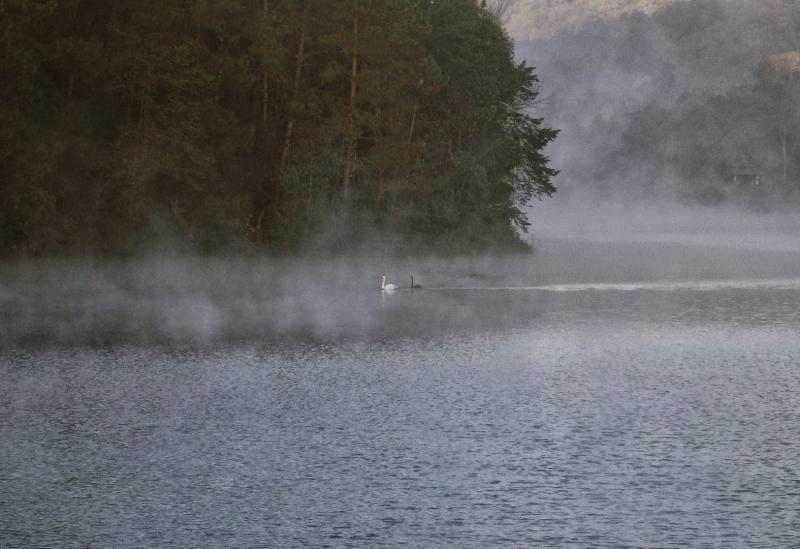 post-93078-0-12648500-1445840658_thumb.j