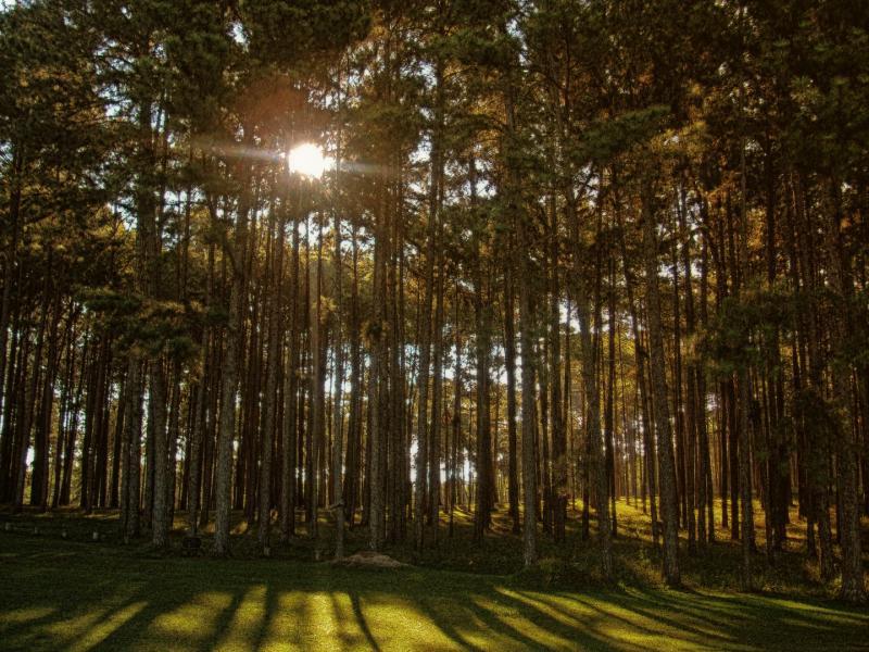 post-93078-0-46702900-1445840264_thumb.j