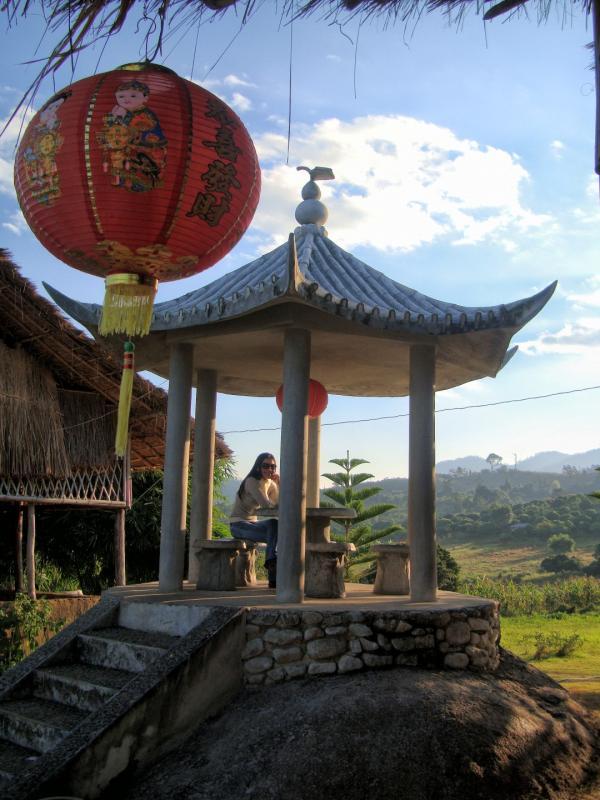 post-93078-0-87117600-1445840861_thumb.j