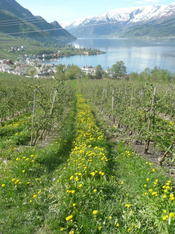 post-94399-0-08990500-1445283404_thumb.j