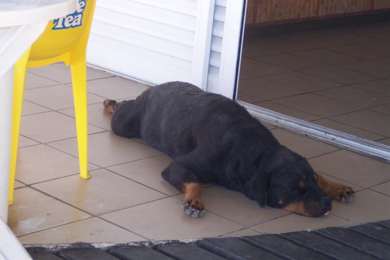 post-94399-0-17706200-1445555180_thumb.j