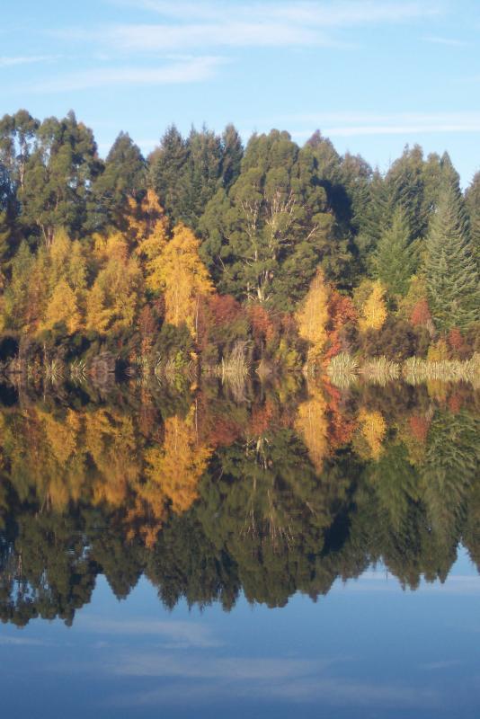 post-94399-0-18799900-1445436992_thumb.j