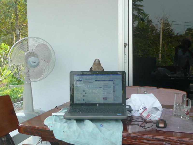 post-94399-0-19558800-1445448936_thumb.j