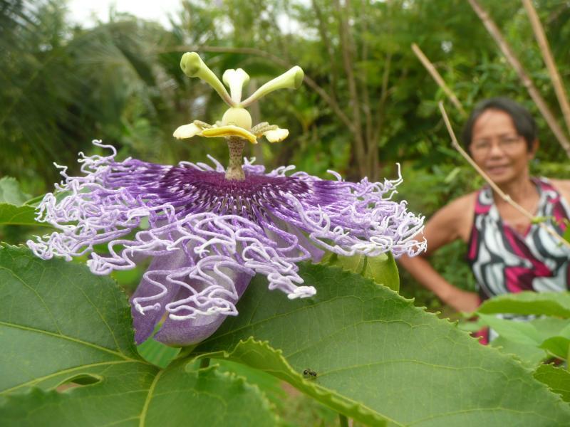 post-94399-0-52301200-1445025628_thumb.j