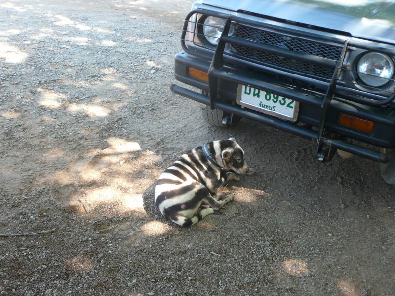 post-94399-0-53491700-1445446867_thumb.j