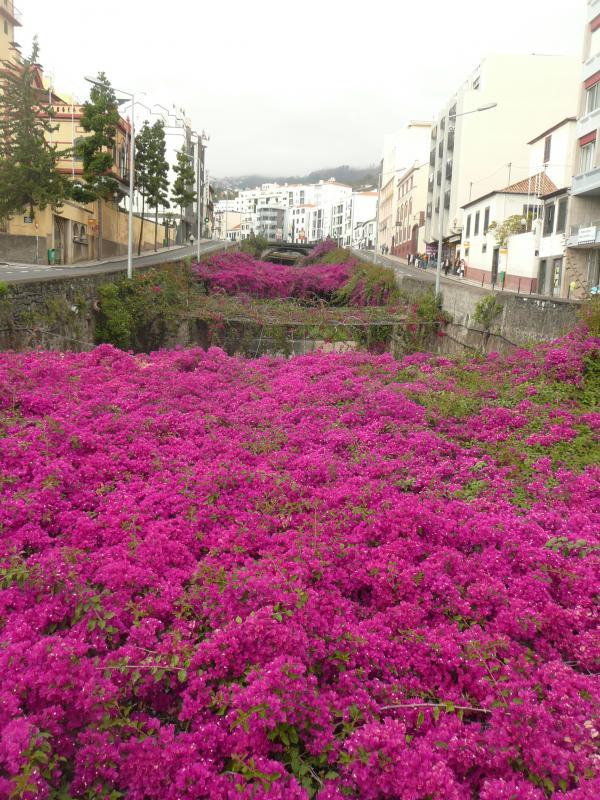 post-94399-0-60571000-1445537926_thumb.j