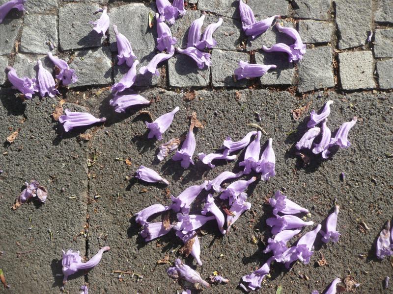 post-94399-0-75830700-1445284327_thumb.j