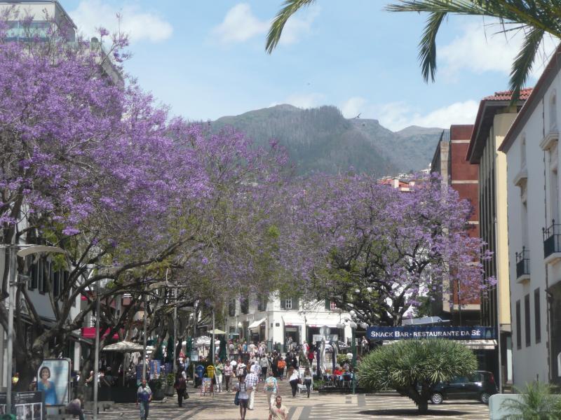 post-94399-0-77613400-1445284071_thumb.j