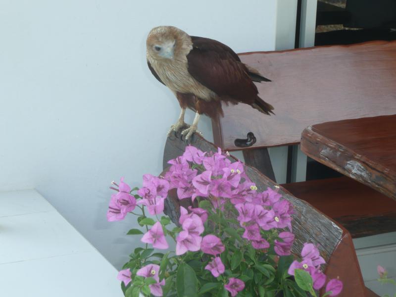 post-94399-0-78336700-1445448770_thumb.j