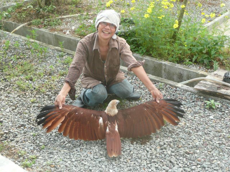 post-94399-0-80809100-1445448525_thumb.j