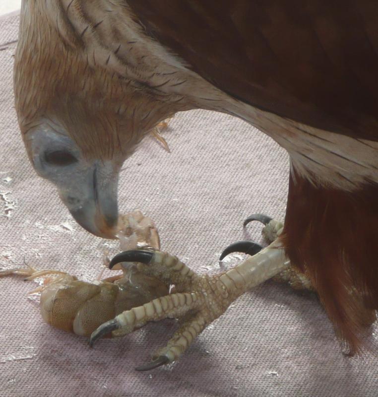 post-94399-0-83308400-1445448665_thumb.j