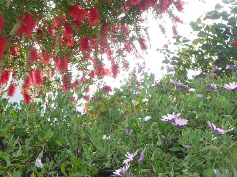 post-94399-0-89047300-1445285384_thumb.j