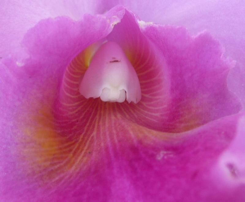 post-94399-0-95722700-1445019781_thumb.j