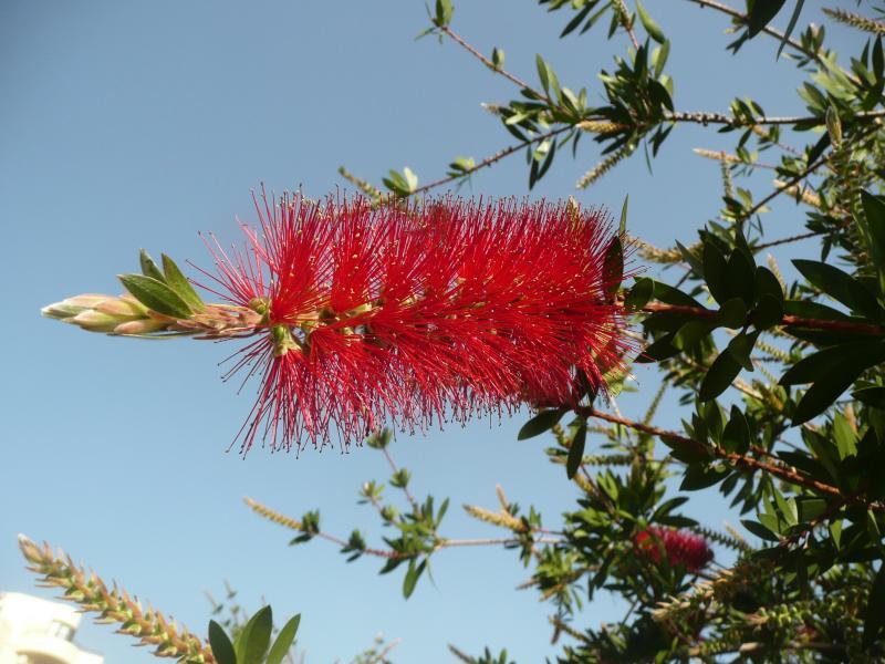 post-94399-0-99163200-1445437839_thumb.j