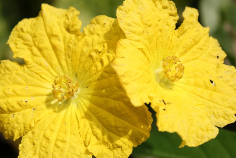 post-95325-0-22357500-1443970823_thumb.j