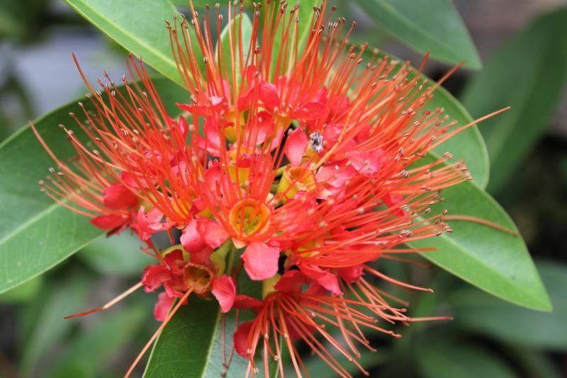 post-95325-0-27700700-1445833859_thumb.j