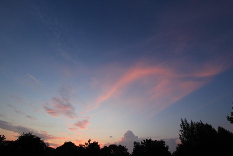 post-95325-0-29574900-1446127286_thumb.j