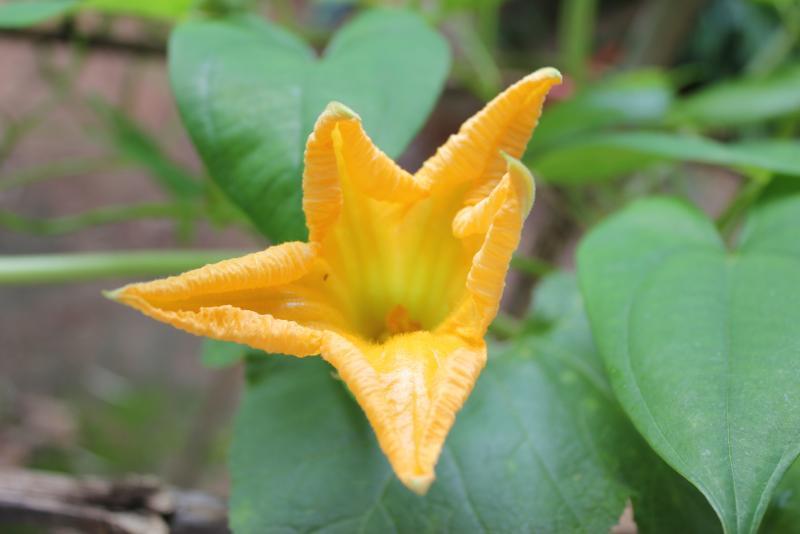 post-95325-0-33605900-1443971758_thumb.j