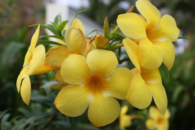 post-95325-0-78271200-1446115838_thumb.j