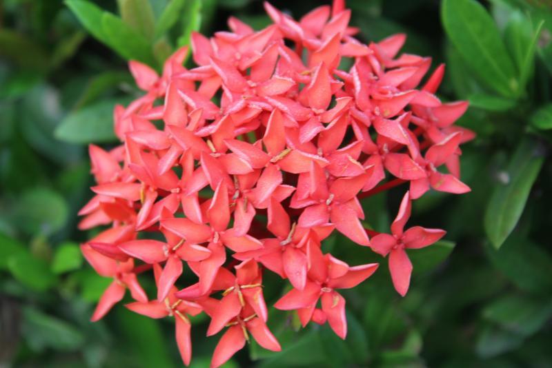 post-95325-0-78763900-1446115384_thumb.j