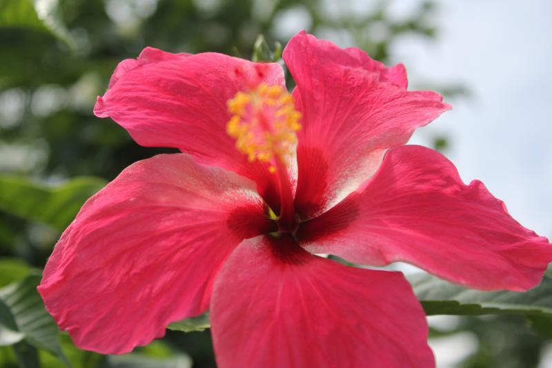 post-95325-0-79825500-1443970991_thumb.j