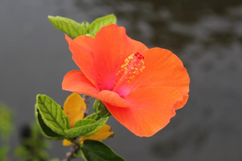 post-95325-0-83871200-1444743806_thumb.j