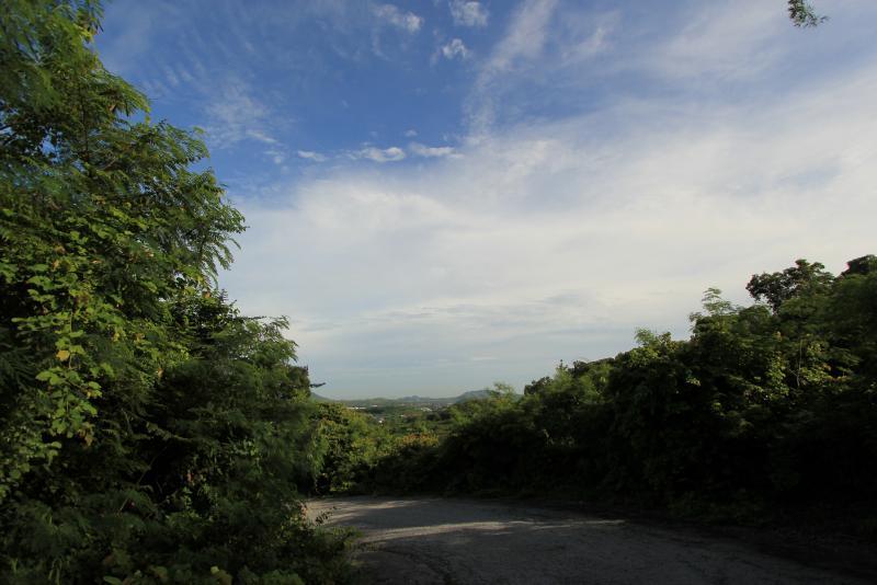 post-95325-0-87490900-1446306894_thumb.j