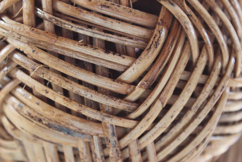 post-95325-0-97863900-1445868469_thumb.j