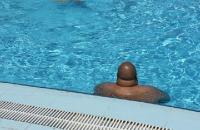 post-46350-1227670502_thumb.jpg