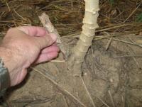 post-38686-1258875711_thumb.jpg