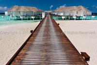 post-106560-0-70783200-1289900195_thumb.