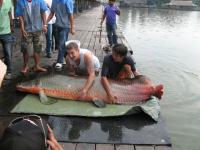 post-110955-0-89020100-1289226365_thumb.